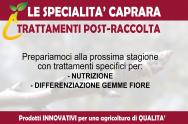 2023.08 - TRATTAMENTI NUTRIZIONE POST-RACCOLTA